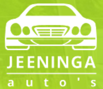 De Verzekeraar logo